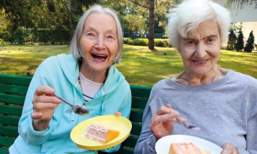 Polnische Pflegeheime und ihr Angebot für deutsche Senioren