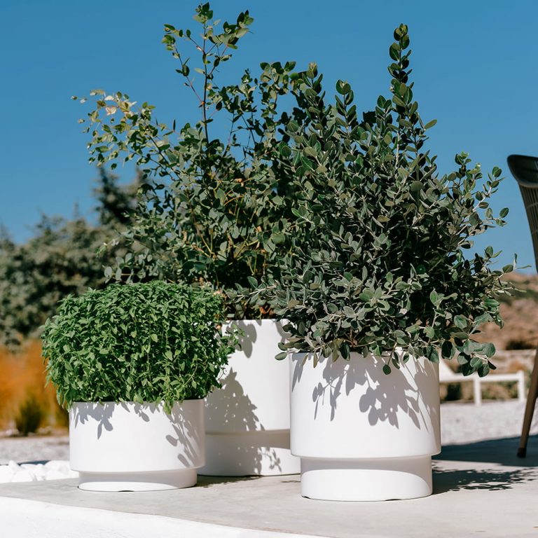 Große Blumentöpfe für XXL-Pflanzen – Jetzt im Tymar Shop entdecken